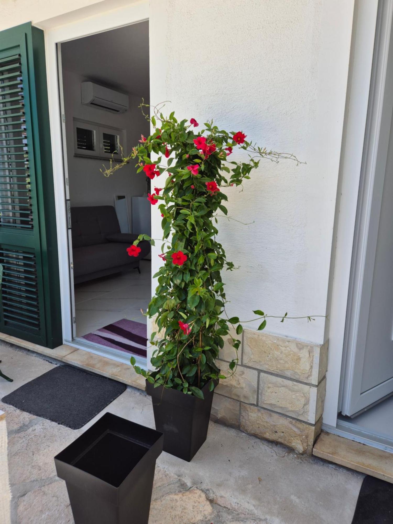 Apartman Bauer - Omis- Nemira Exterior photo